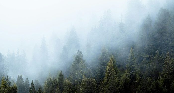 Tawakal Menjadi Sumber Ketenangan Jiwa