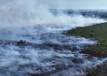Kebakaran Lahan Gambut di Aceh Barat Meluas hingga 10 Hektare