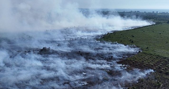 Kebakaran Lahan Gambut di Aceh Barat Meluas hingga 10 Hektare