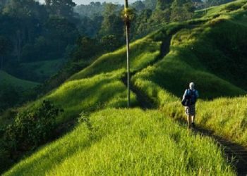 Astungkara Trail di Bali Terpilih sebagai Wellness Experience Terbaik Dunia