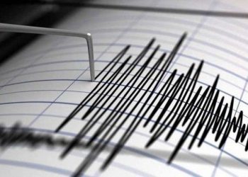 Gempa Magnitudo 6,4 di Pacitan, Tidak Berpotensi Tsunami