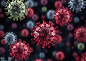 Beberapa Ahli Waspadai Tiga Virus yang bisa jadi Ancaman Wabah Global Baru