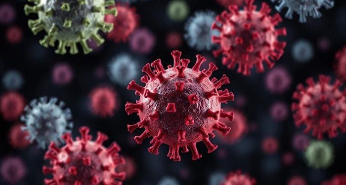 Beberapa Ahli Waspadai Tiga Virus yang bisa jadi Ancaman Wabah Global Baru