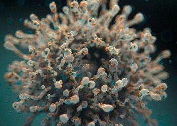 Kemenkes Waspadai Kasus Penularan Virus Nipah di Indonesia