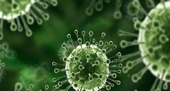 Ketahui Cara Penularan Virus Nipah ke Manusia