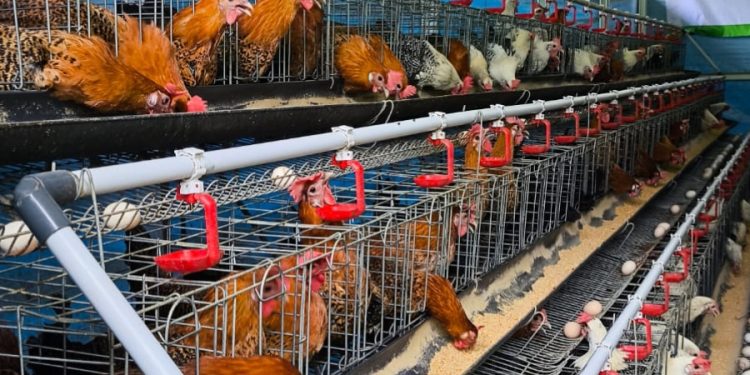 Dompet Dhuafa Ajak Jurnalis Keliling Pemberdayaan, Bukti Zakat Naikan Taraf Hidup