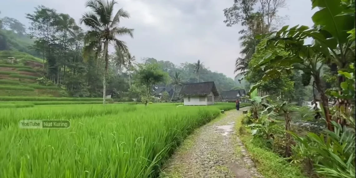 Gegar Pulang Kampung