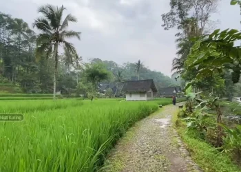 Gegar Pulang Kampung