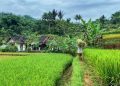 Lebaran dan Liburan