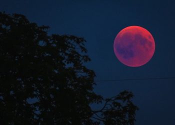 BMKG Sampaikan Puncak Gerhana Bulan Total bisa Diamati di Indonesia