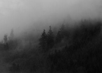 8 Upaya Pembunuhan terhadap Nabi Muhammad