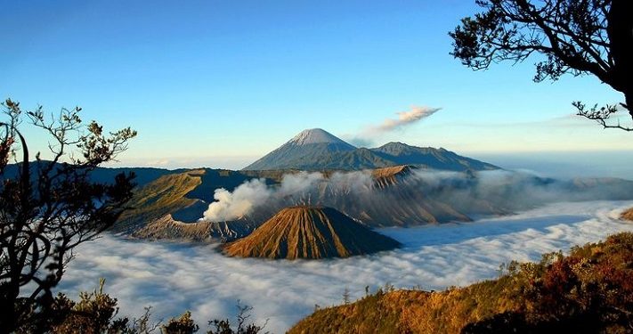 Taman Nasional Bromo Tengger Semeru Ditutup untuk Pulihkan Ekosistem Kawasan Konservasi