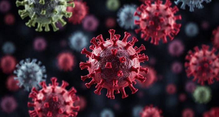 Daftar Negara yang Terdeteksi Kasus Covid-19 Cicada