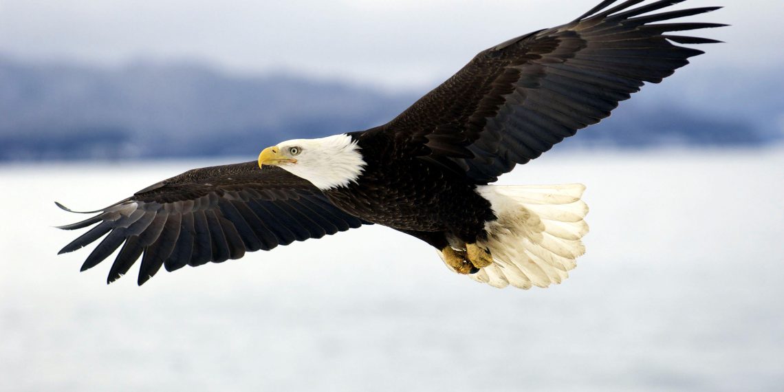 Jangan Tanyakan ke Orang Lain