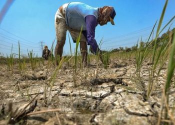 Beberapa Daerah Awal Musim Kemarau 2026 di Wilayah Jawa Barat