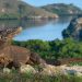 Batasan Kunjungan Wisata ke Taman Nasional Komodo NTT