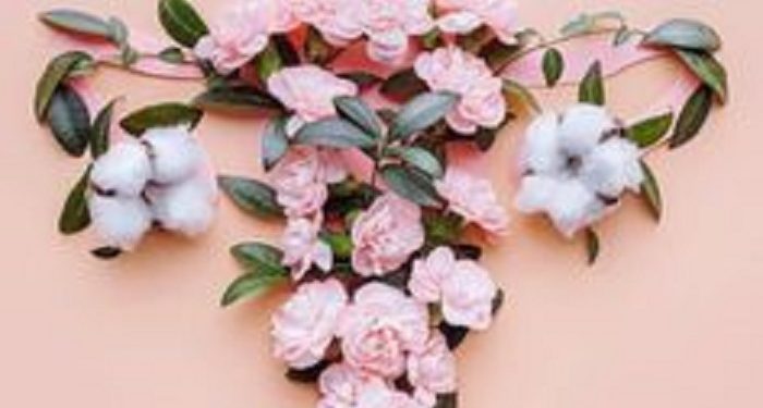 Cara Menjaga Kebersihan Organ Intim, Terutama saat Menstruasi