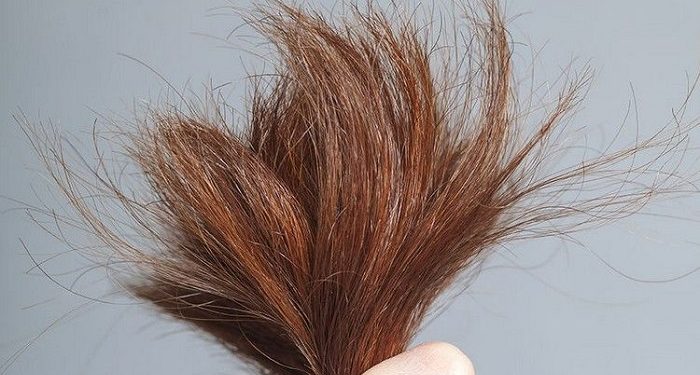 Ketahui Rutinitas Harian yang Buat Rambut Bercabang