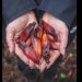 Tumis Jantung Pisang Ala Chef Rudy Choirudin, Lauk Tradisional yang Kaya Rasa