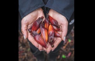 Tumis Jantung Pisang Ala Chef Rudy Choirudin, Lauk Tradisional yang Kaya Rasa