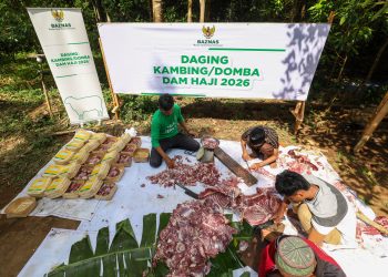BAZNAS Salurkan 1.240 Kambing Dam Jemaah Haji 2026 untuk Mustahik di Berbagai Provinsi