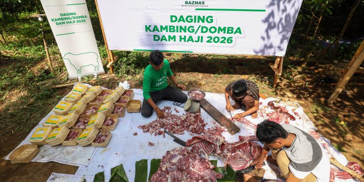 BAZNAS Salurkan 1.240 Kambing Dam Jemaah Haji 2026 untuk Mustahik di Berbagai Provinsi