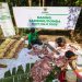 BAZNAS Salurkan 1.240 Kambing Dam Jemaah Haji 2026 untuk Mustahik di Berbagai Provinsi