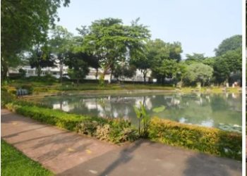 Taman Situ Lembang, Oase Hijau yang Menyimpan Keunikan di Tengah Jakarta