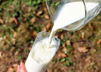 Beragam Manfaat Susu Kambing untuk Kesehatan
