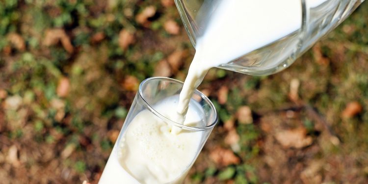 Beragam Manfaat Susu Kambing untuk Kesehatan
