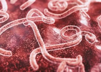 Wabah Ebola Tingkatkan Angka Kematian dan Bawa Risiko Penyebaran yang Signifikan