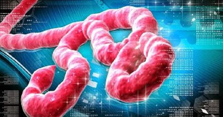 Kemenkes Pantau Perkembangan Penyakit Ebola dalam Situasi Global