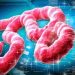 Kemenkes Pantau Perkembangan Penyakit Ebola dalam Situasi Global