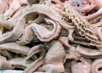 Kenali Beberapa Gizi Jeroan Sapi dan Kambing