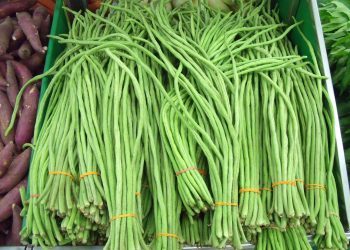 Agar Tetap Hijau dan Renyah, Ini Cara Memasak Kacang Panjang yang Tepat!