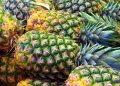 Rahasia Membuat Selai Nanas yang Tahan Lama