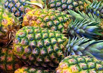 Rahasia Membuat Selai Nanas yang Tahan Lama