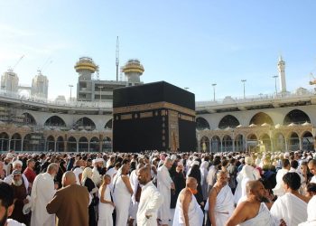 Antrean Haji hingga 48 Tahun, Jutaan Calon Jemaah Indonesia Belum Mendaftar