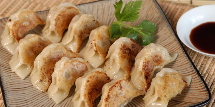 Rahasia Membuat Gyoza Ayam yang Lezat dan Juicy ala Rumahan