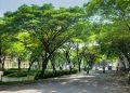 5 Taman di Jakarta yang Cocok Jadi Tempat Piknik Bersama Keluarga
