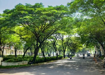 5 Taman di Jakarta yang Cocok Jadi Tempat Piknik Bersama Keluarga