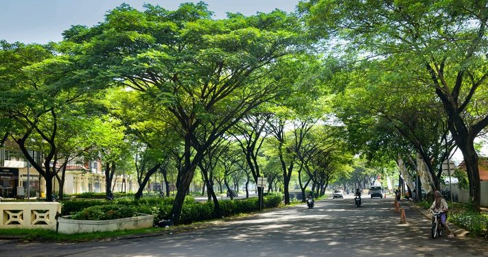 5 Taman di Jakarta yang Cocok Jadi Tempat Piknik Bersama Keluarga
