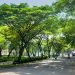 5 Taman di Jakarta yang Cocok Jadi Tempat Piknik Bersama Keluarga