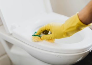 Tips Membersihkan Toilet yang Benar agar Bersih dan Bebas Bau