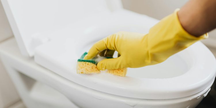 Tips Membersihkan Toilet yang Benar agar Bersih dan Bebas Bau