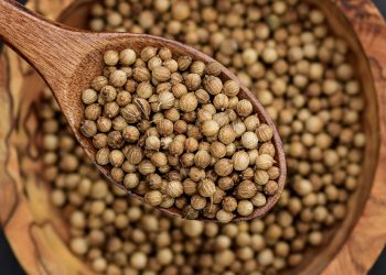 Bukan Sekadar Bumbu Dapur, Ketumbar Ternyata Baik untuk Kesehatan Lambung