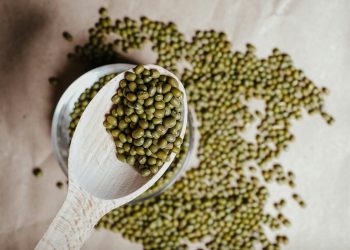 Tips Merebus Kacang Hijau agar Cepat Empuk dan Hemat Gas