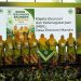 670 Kader Aisyiyah Ikuti Jambore Dakwah Kemanusiaan Aisyiyah Jateng, Perkuat Ketahanan Keluarga dan Pendidikan Masyarakat