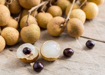 Terlalu Banyak Makan Buah Kelengkeng, Apa Dampaknya bagi Kesehatan?