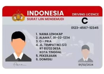 Ketahui Cara Mendapatkan SIM Digital